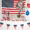 Amerika Bekers Party Papier 210ml 10st
