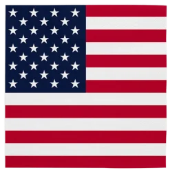 Amerika Servetten 3 Laags 33cm 20st