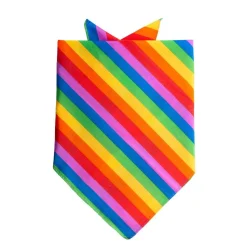 Bandana Regenboog 55cm