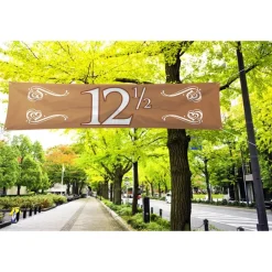 Banner 12,5 Jaar Brons 1,8m