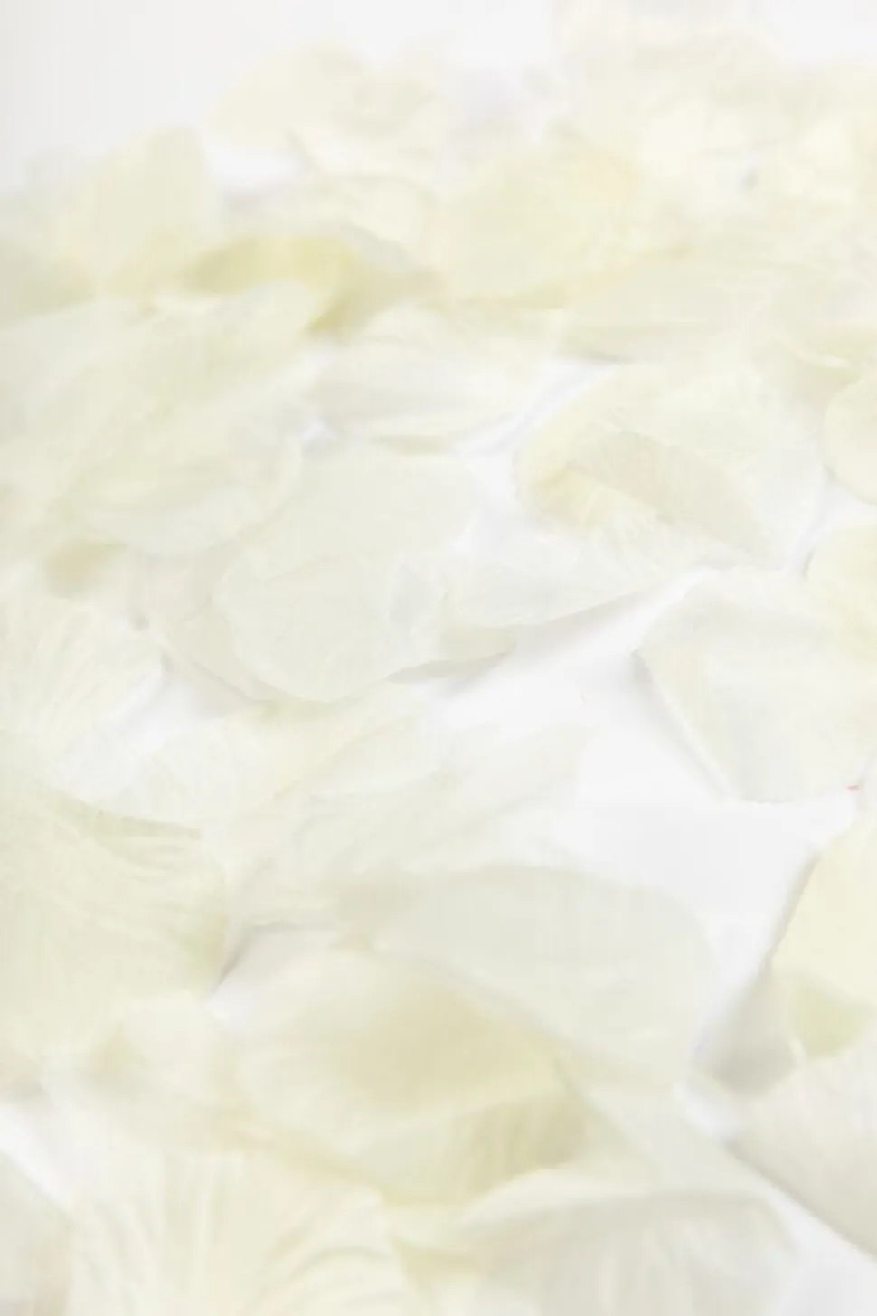Beige Rozenblaadjes 100st