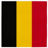 Belgie Servetten 3 Laags 33cm 20st