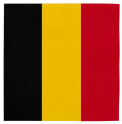 Belgie Servetten 3 Laags 33cm 20st