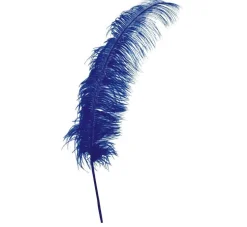 Blauwe Struisvogelveren 50cm 12st