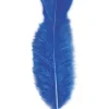 Blauwe Veren 50st