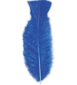 Blauwe Veren 50st