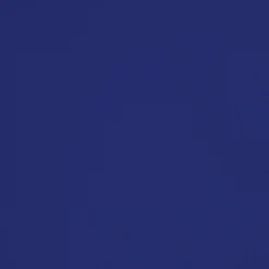 Donkerblauwe Servetten 2 Laags 25cm 20st