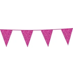 Fuchsia Vlaggenlijn Glitter 6m