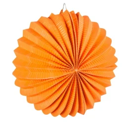 Gekleurde Lampionnen Ballon 22cm 12st