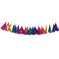 Gekleurde Slinger Metallic Tassels