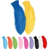 Gekleurde Veren 50st