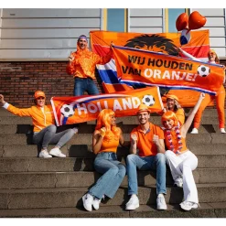 Gevelvlag Brullende Leeuw Xxl 3m