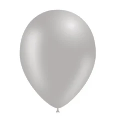 Grijze Ballonnen 25cm 10st