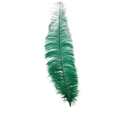 Groene Struisvogelveren 40cm 12st