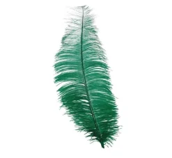 Groene Struisvogelveren 30cm 12st