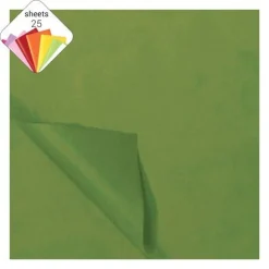 Groene Zijdevloeipapier Mos 50x70cm 25st
