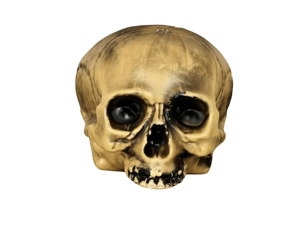 Halloween Half Schedel 20cm