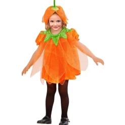 Halloween Kostuum Baby Pompoen 2 delig