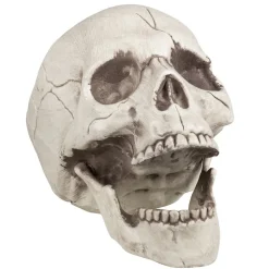 Halloween Schedel Beweegbare Kaak 21cm