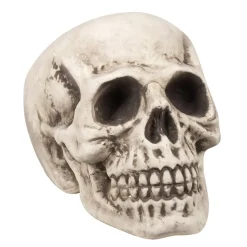 Halloween Schedel 31cm