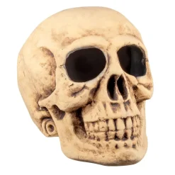 Halloween Schedel Masterbrain 47cm