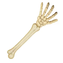 Halloween Skeletarm 46cm