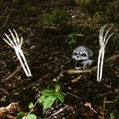Halloween Skelet Schedel En Armen