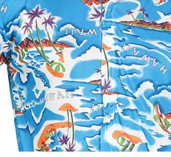 Hawaii Blouse Heren