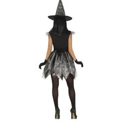Heks Halloween Kostuum Dames Zilver