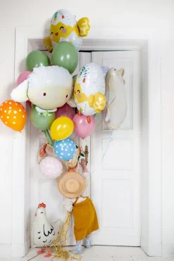 Helium Ballon Kip Leeg 57cm