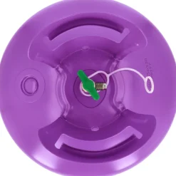 Helium Tank met 100 Ballonnen en Lint