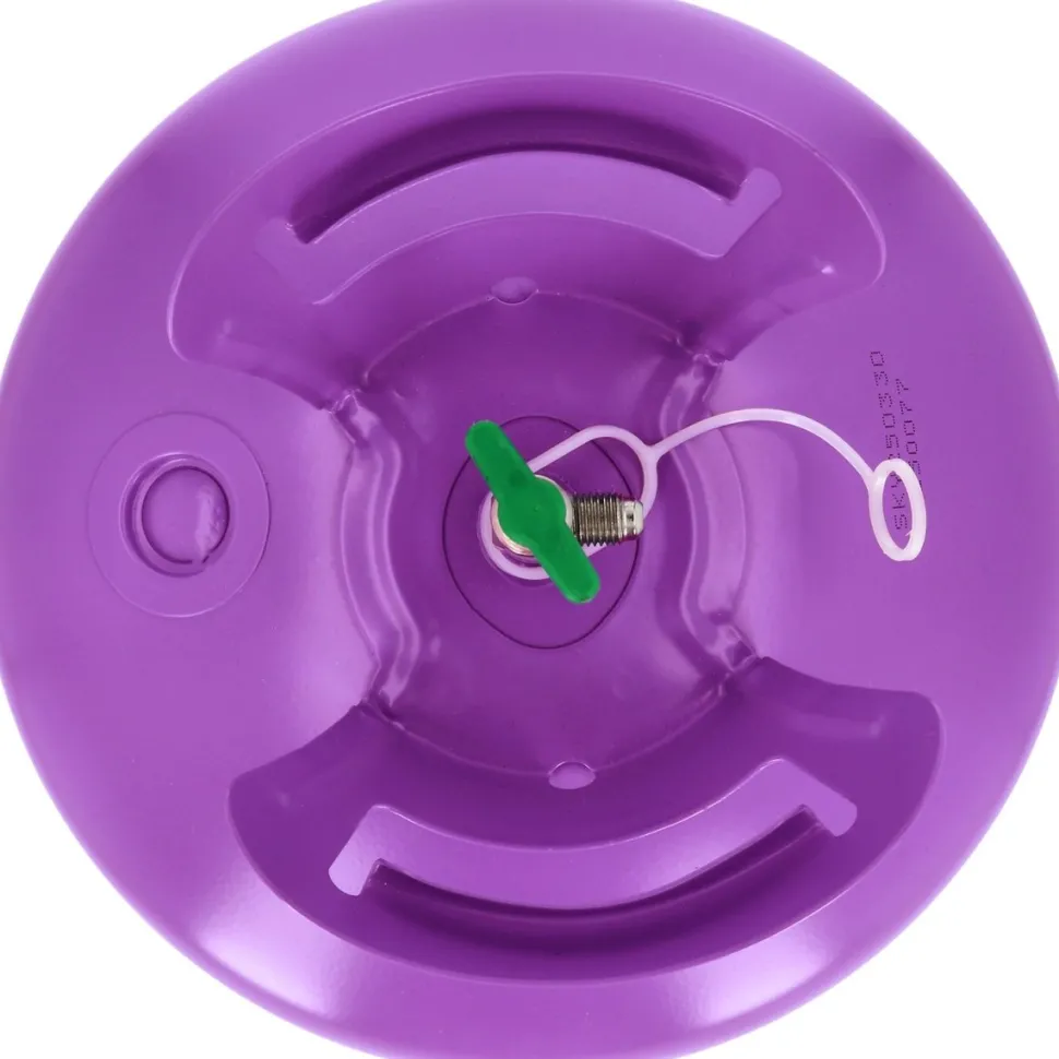 Helium Tank met 100 Ballonnen en Lint