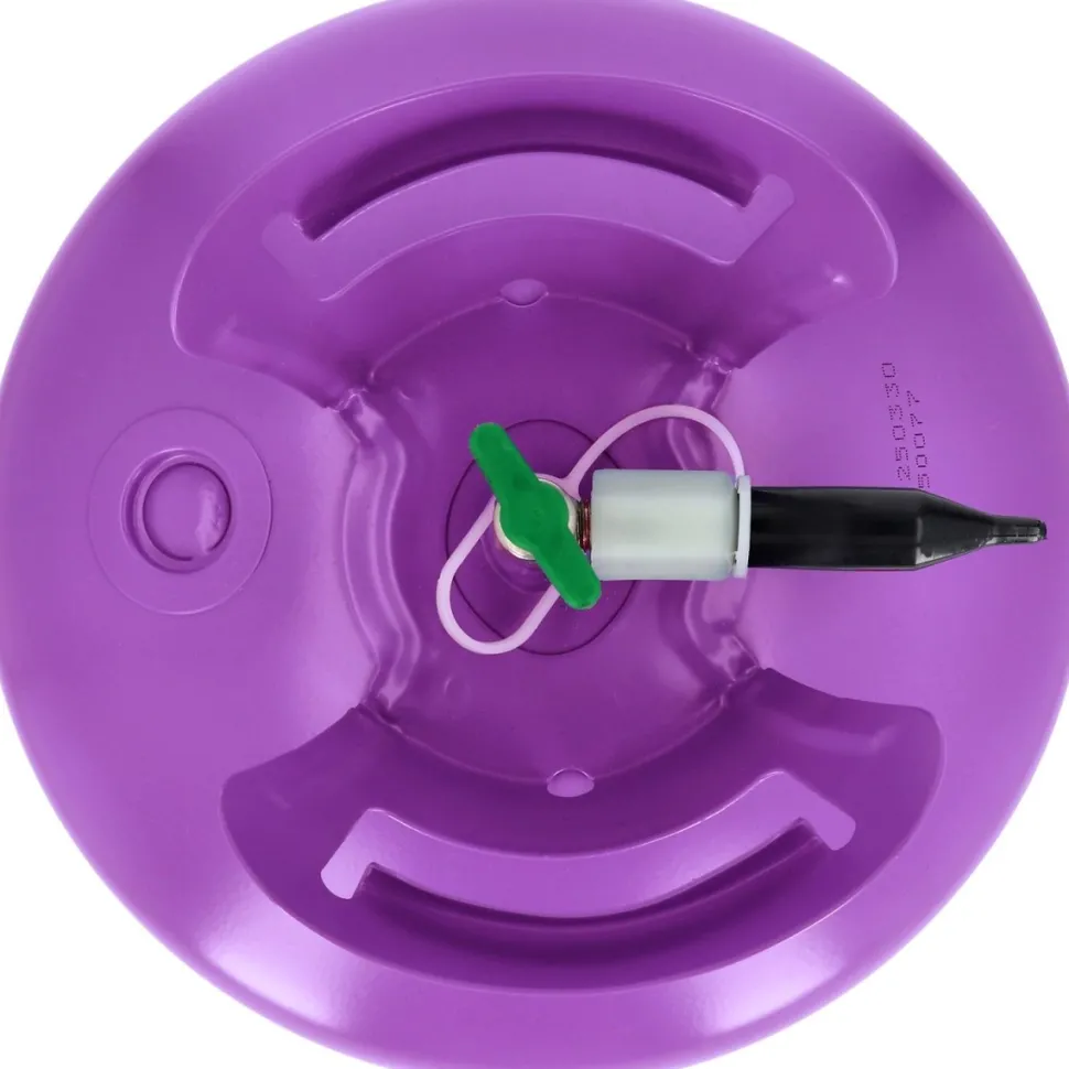 Helium Tank met 200 Ballonnen en Lint
