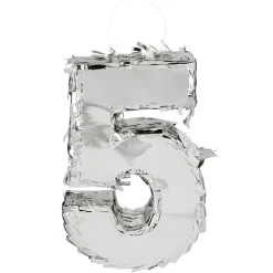 5 Jaar Pinata Zilver