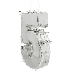 5 Jaar Pinata Zilver