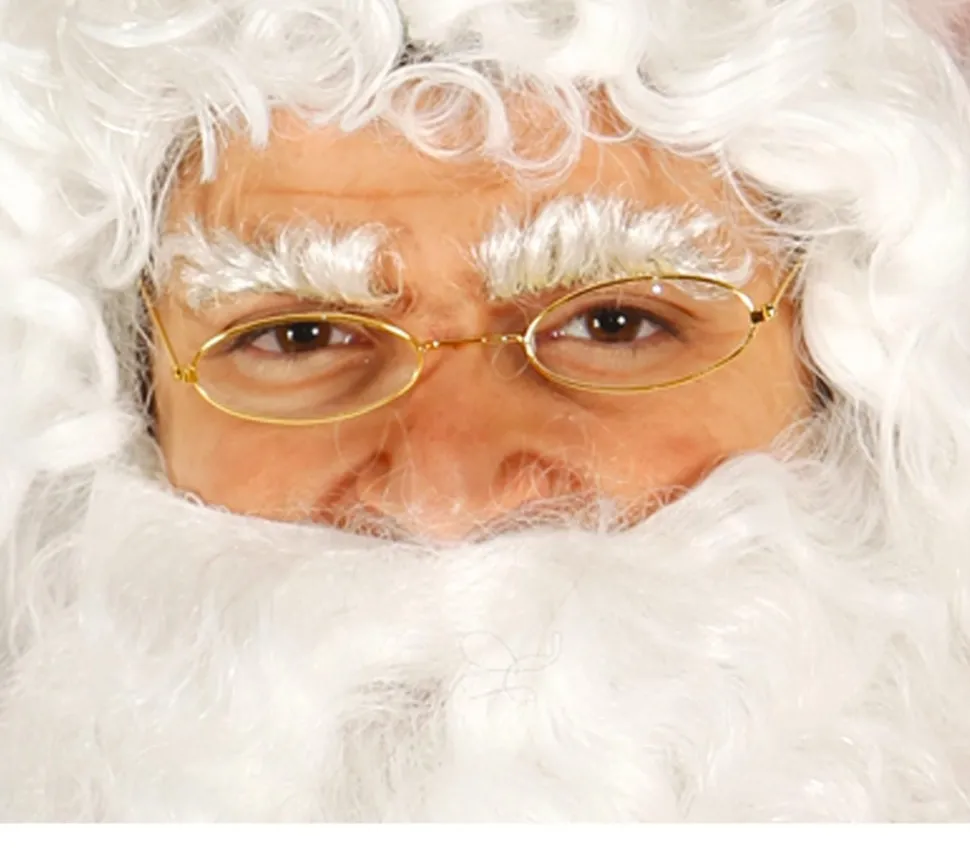 Kerstman Bril Deluxe