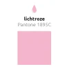 Lichtroze Hartjes Ballonnen 25cm 6st