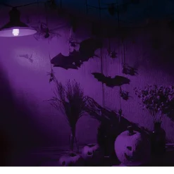 Lila Ledlamp 5W