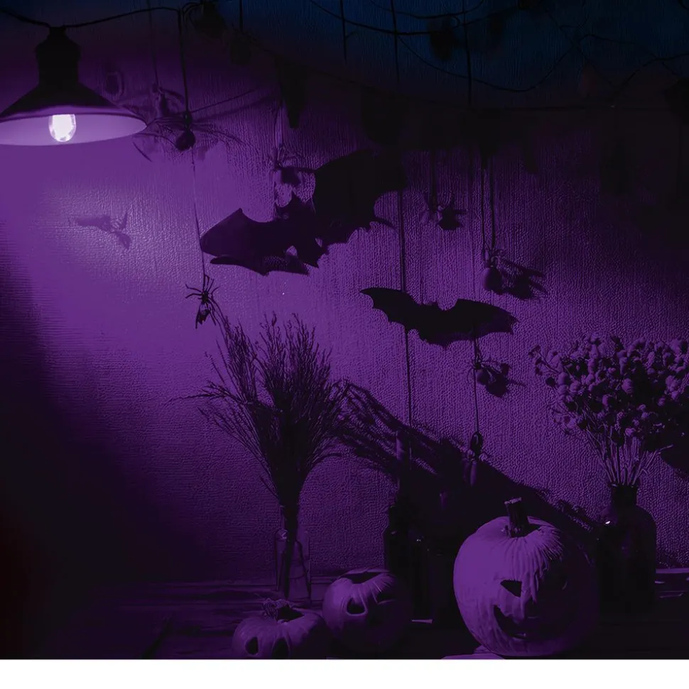 Lila Ledlamp 5W