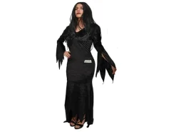 Morticia Kostuum Zwart