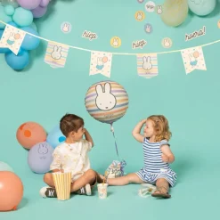 Nijntje Ballon Folie 45cm
