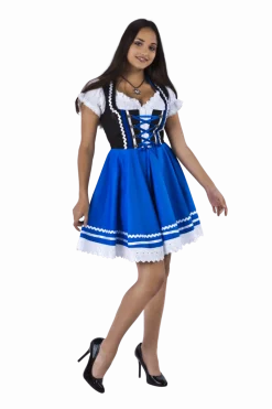 Oktoberfest Dirndl Jurk Oktoberfest Blauw Wit Dames 2 Delig