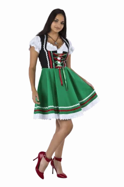 Oktoberfest Dirndl Jurk Oktoberfest Zwart Groen Dames 2 Delig