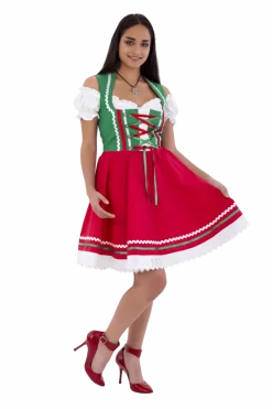 Oktoberfest Dirndl Jurk Oktoberfest Rood Groen Dames 2 Delig