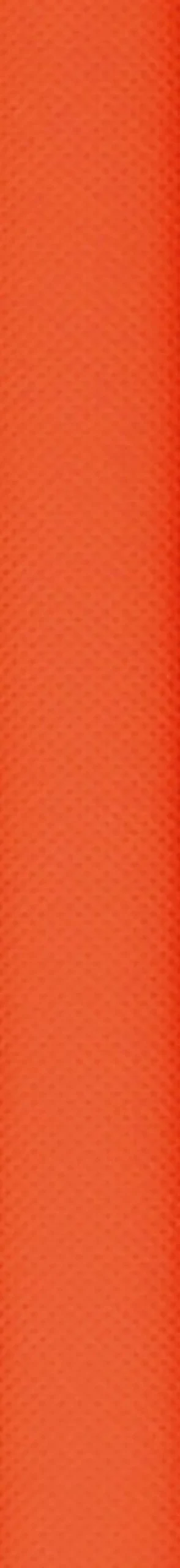 Oranje Loper 60cm 4,5m