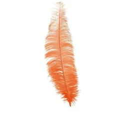 Oranje Struisvogelveren 40cm 12st