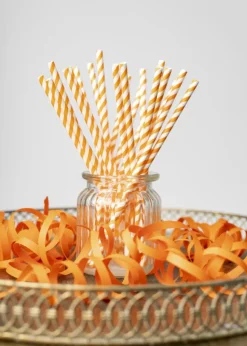Papieren Rietjes Oranje Gestreept 19,7cm 20st