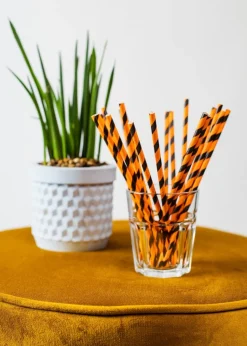 Papieren Rietjes Oranje/Zwart Gestreept 19,7cm 20st