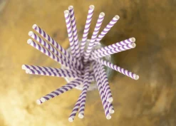 Papieren Rietjes Paars Gestreept 19,7cm 20st