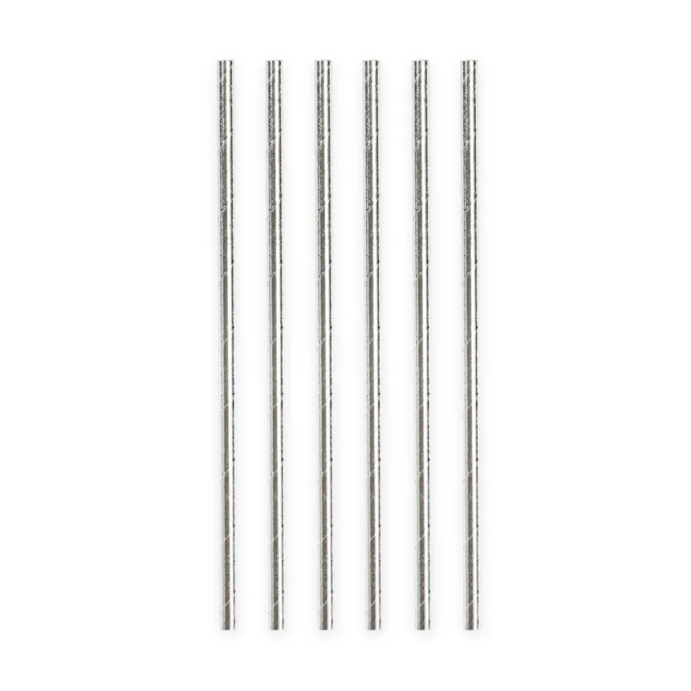 Papieren Zilveren Metallic Rietjes 19,7cm 20st